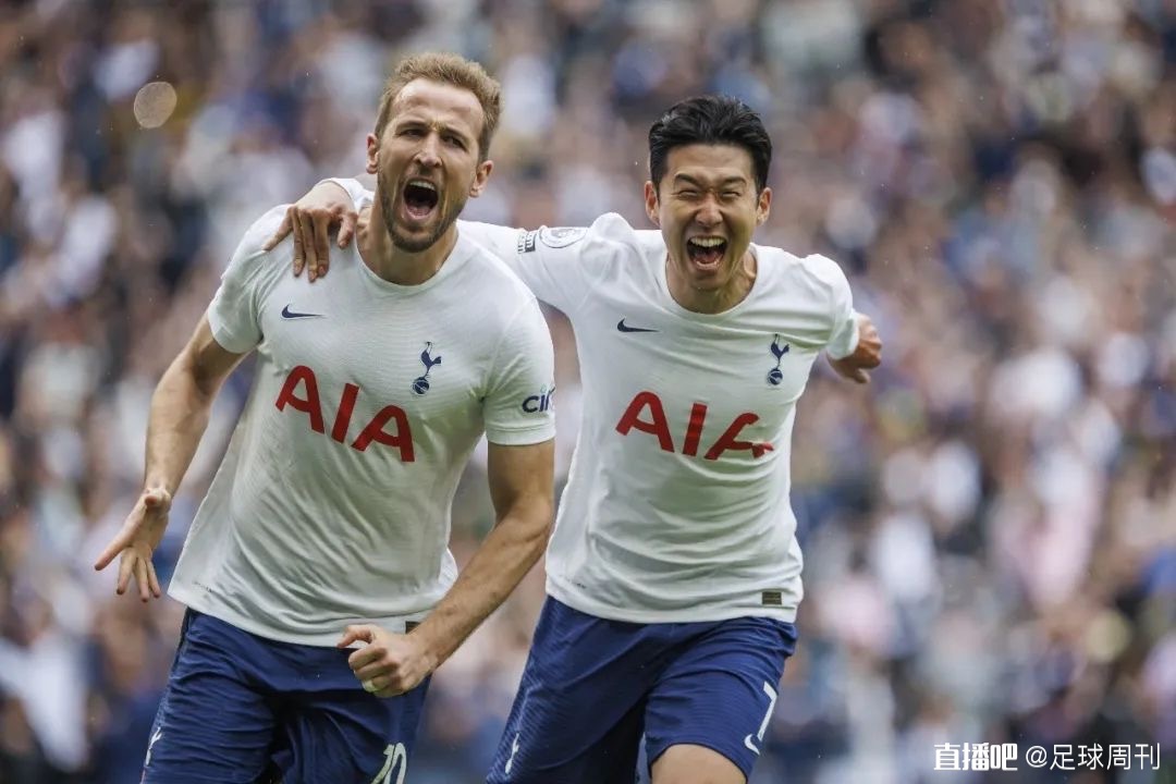 的系统化落 的系统化落