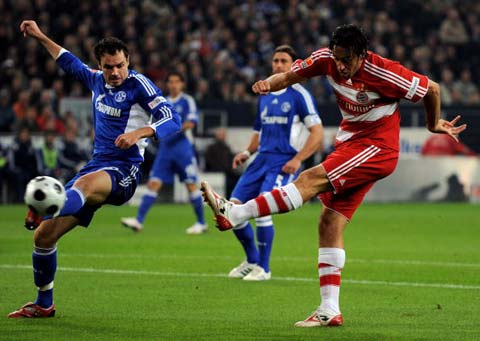 灰熊的内线 灰熊的内线