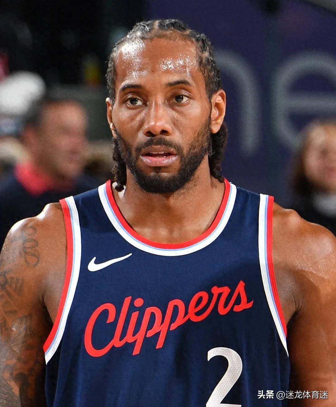 把灰熊的节 把灰熊的节